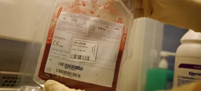 Matične celice iz popkovnice - matične celice iz popkovnične krvi imajo velik potencial za zdravljenje bolezni v prihodnosti - nastanejo ob spočetju in so temelj življenja - to so nerazvite osnovne celice, ki se lahko pod določenimi pogoji razvijejo v katerokoli celico, npr. v mišice, živčevje ali drugo tkivo v telesu. Nekatere pa se ne specializirajo, temveč opravljajo nalogo regeneracije tkiva.- Zavod RS za transfuzijsko medicino - //FOTO: Matej PovšeOPOMBA: ZA OBJAVO V ČASOPISU DNEVNIK