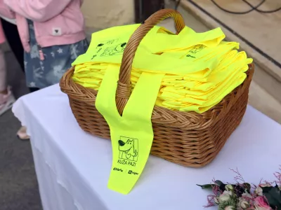 Ob začetku šolskega leta morajo biti vozniki še posebno pozorni na najmlajše v prometu