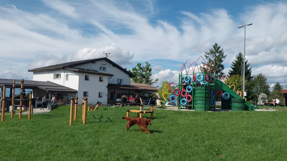 Dom se pohvali z otroškimi igrali, nekaj jih je postavljenih tudi za hišo.