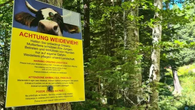 krave Avstrija planine gore