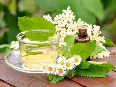 Chamomile, lemon balm and elderberry herbal tea in a glass cup, with essential oil in a bottle arranged on a wooden desk / Foto: Miloscirkovic