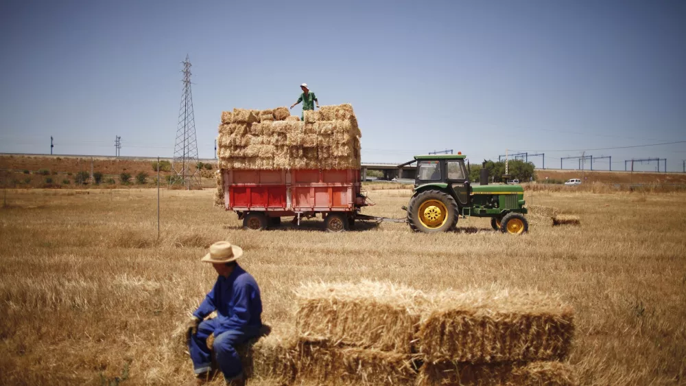 Spanish farmers collect bales of hay at a field in Antequera, near the southern Spanish city of Malaga, July 23, 2010. Spanish farmers have harvested about 70 percent of the import-dependent country's wheat crop and 60 percent of its barley, union estimates showed on Friday.The Asaja union said field work was 60 percent complete in the northerly Castilla-Leon grain belt region, which the government predicts will harvest some 2 million tonnes of wheat and 3 million tonnes of barley.  REUTERS/Jon Nazca   (SPAIN - Tags: AGRICULTURE BUSINESS FOOD)