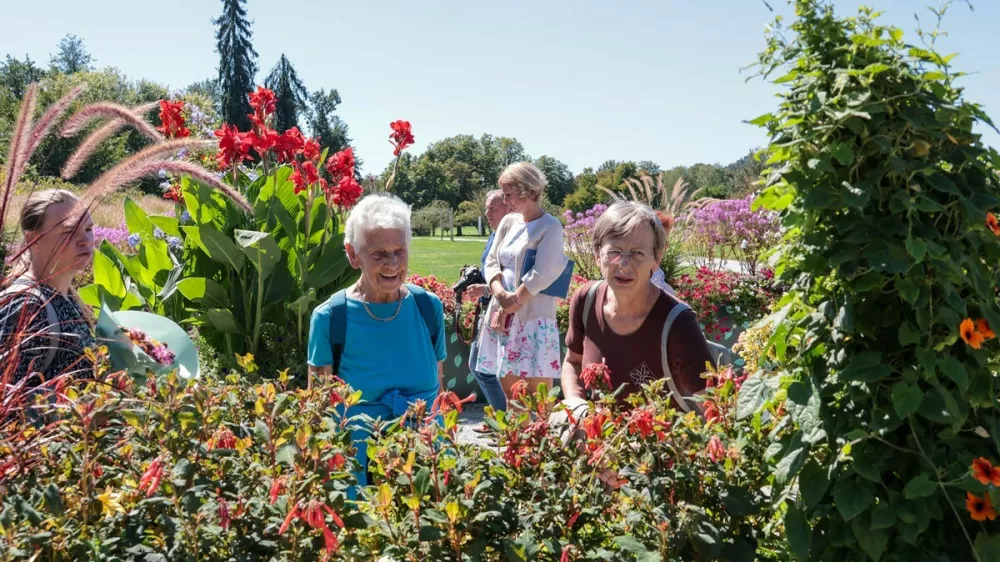 Sprehajalna pot za osebe z demenco