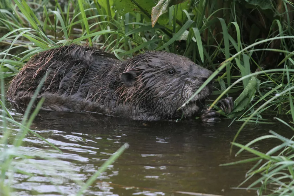  / Foto: Marko Zabavnik Fotografija