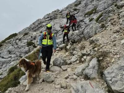 Gorski reševalci že od ponedeljka iščejo pogrešano planinko. Na pomoč jim je priskočil tudi sledni pes. 
