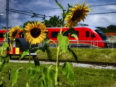 Foto: Mi&scaron;ko Kranjec