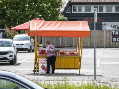 ﻿- 11.05.2021 – obcestna stojnica v Ljubljani Brdo - prodaja sadja in zelenjave ob cestah, //FOTO: Matjaž Rušt