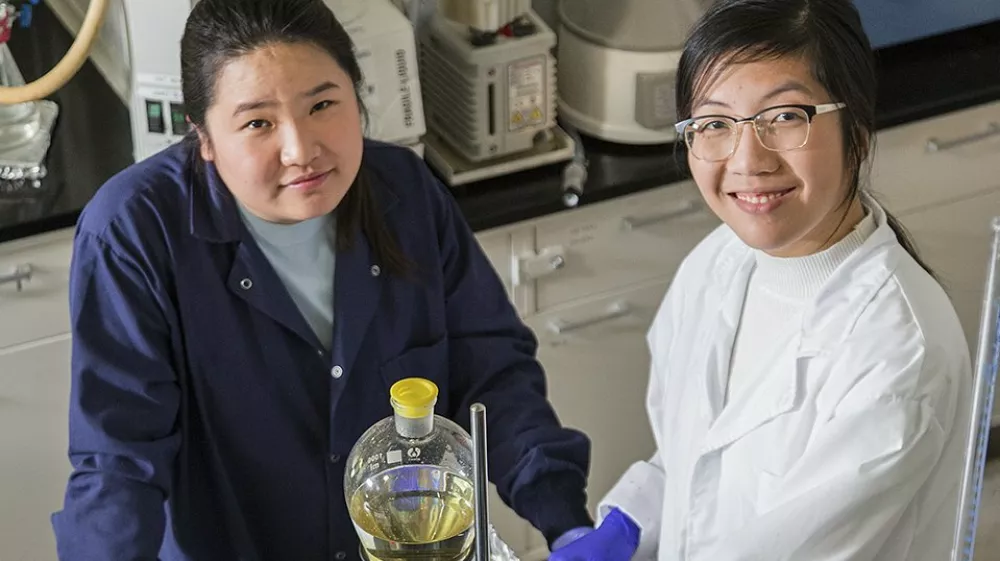 dasd askiajuo / Foto: Awff