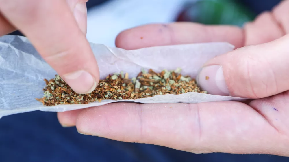 ﻿Zvijanje jointa, marihuana, kajenje marihuane, indijska konoplja- 22.04.2015 - Marihuana marš 2015 - tradicionalni shod proti prohibiciji konoplje in za liberalizacijo zakonskega področja prepovedanih drog v organizaciji Študentske organizacije Univerze v Ljubljani;  //FOTO: Bojan Velikonja