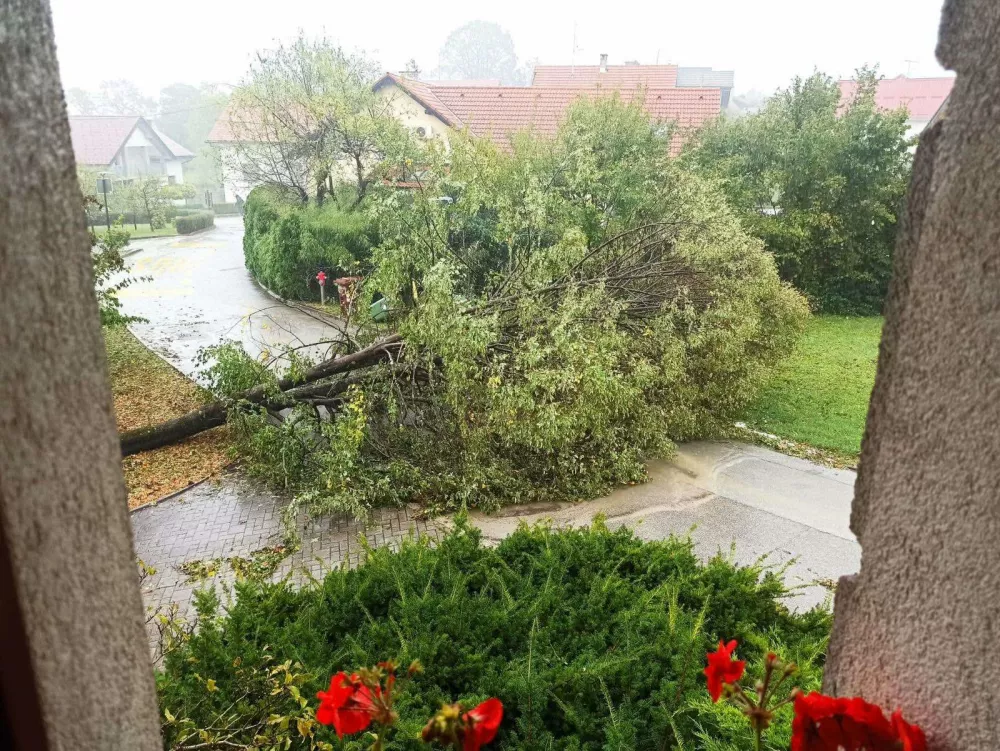 Novo mesto.Neurje v Novem mestu.