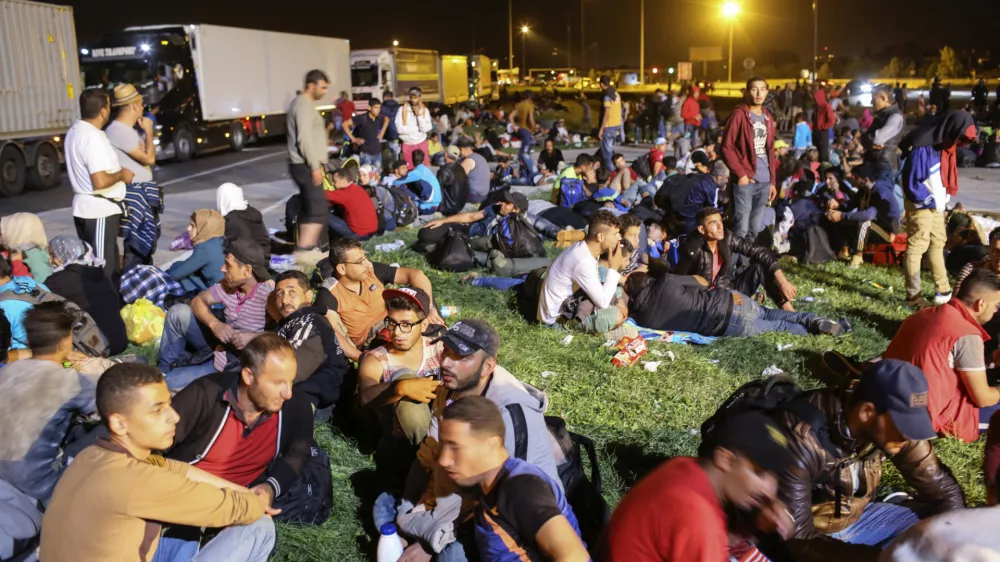 ﻿- 19.09.2015 - Slovenija - slovensko-hrvaška meja - Obrežje   - Begunci 2015 - migracije po zahodni balkanski poti - migracijska pot beguncev iz Sirije, Afganistana in Iraka čez Balkan proti zahodni Evropi - evropska begunska kriza - migranti -   ///FOTO: Jaka Gasar