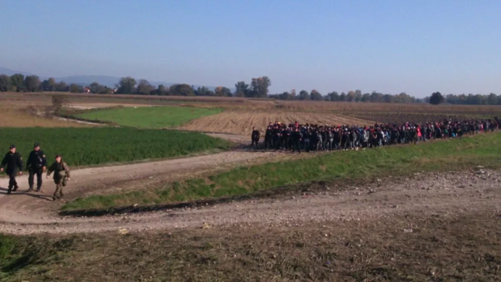 ﻿Festival dokumentarnega filma DOKUDOC