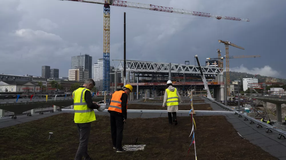 železniška postaja Ljubljana29.08.2025 - Ozelenjevanju nadstrešnic nad železniškimi peroni - gradbišče - gradnja glavne železniške postaja LjubljanaFoto: Nik Erik Neubauer 