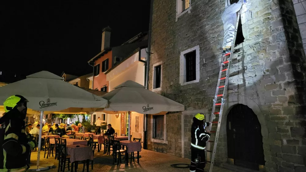 Orientalski sršeni v Kopru