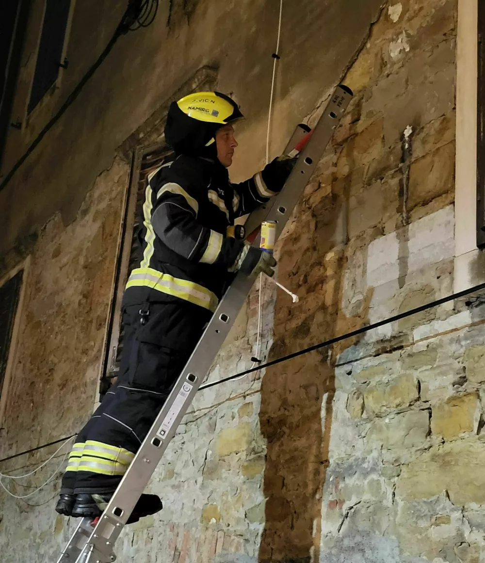 Orientalski sršeni v Kopru