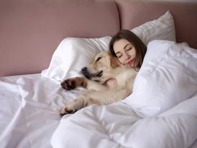 young girl in pajamas sleeps in bed with golden retriever dog, woman lies under blanket with pet and dreams