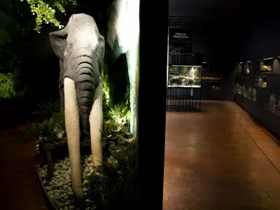 Muzej Velenje razstava mastodonti