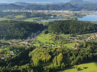 “Bele lise” ponekod ostajajo