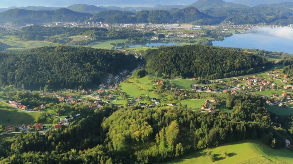 “Bele lise” ponekod ostajajo