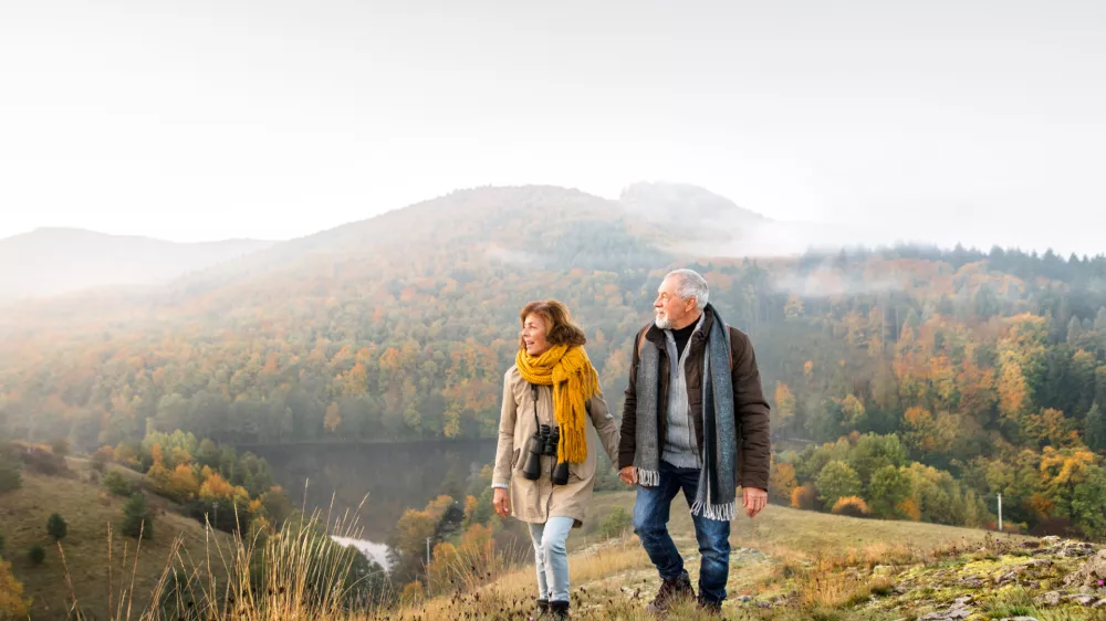 Politiki so očitno začrtali pot … / Foto: Istock
