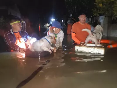 In this handout provided by the Philippine Coast Guard, residents and their dogs are evacuated by rescuers as floods rise due to Typhoon Bualoi in Ormoc, Leyte province, Philippines, on Friday Sept. 26, 2025. (Philippine Coast Guard via AP)