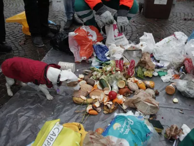 ﻿- simbolična fotografija - odpadki, odvržena - zavržena hrana - pes- - 05.12.2014 - delavnica Zadruge Buna in javnega podjetja Snaga Ljubljana z naslovom Obrnimo zabojnike v okviru katerega so pregledovali ljubljanske zabojnike in si ogledali, kaj vse Slovenci vržemo v smeti;,  //FOTO: Luka Cjuha.