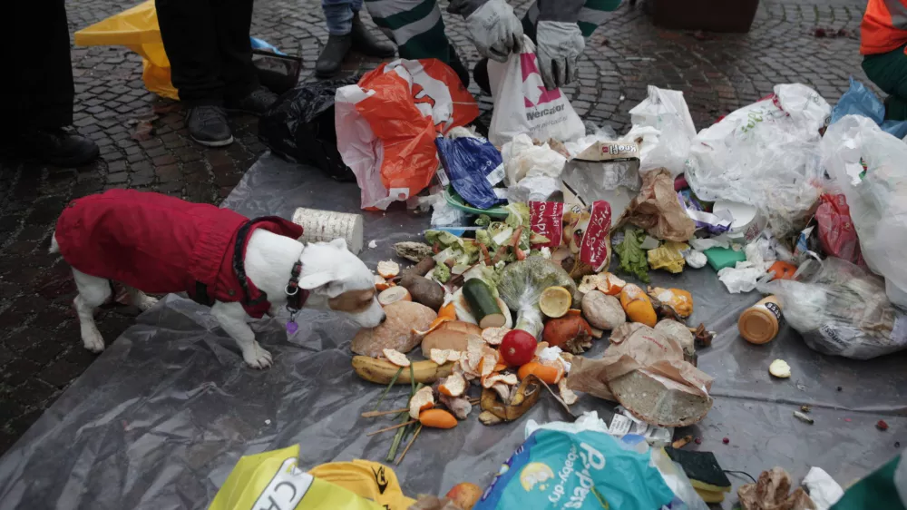 ﻿- simbolična fotografija - odpadki, odvržena - zavržena hrana - pes- - 05.12.2014 - delavnica Zadruge Buna in javnega podjetja Snaga Ljubljana z naslovom Obrnimo zabojnike v okviru katerega so pregledovali ljubljanske zabojnike in si ogledali, kaj vse Slovenci vržemo v smeti;,  //FOTO: Luka Cjuha.