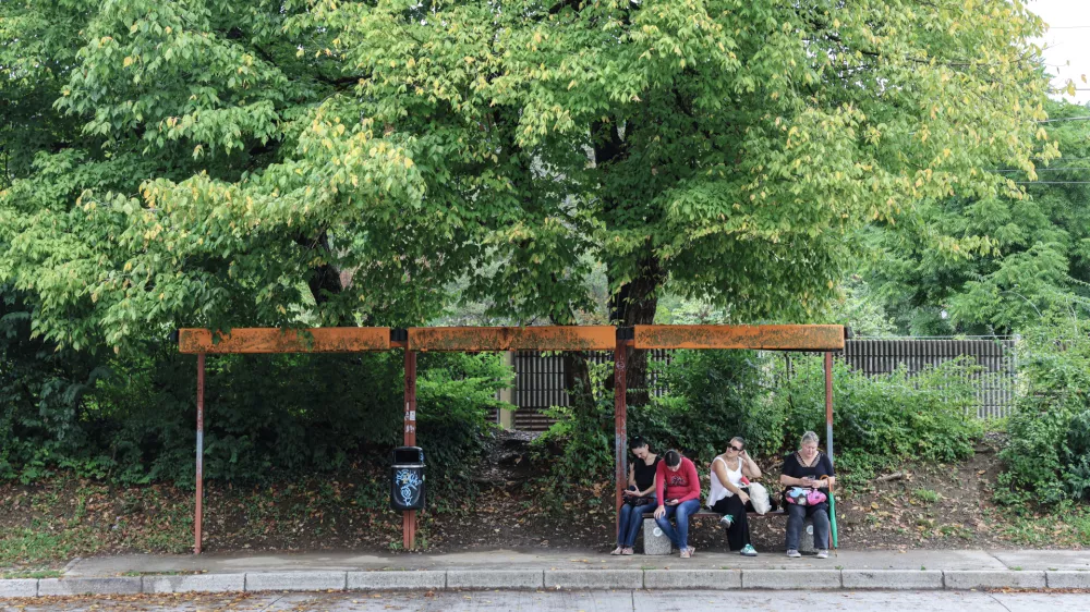 V Ljubljani je 770 avtobusnih postajališč. Kako urejena so?