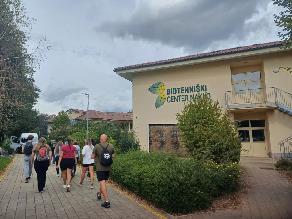 Pouk obogatili z gozdno terapijo