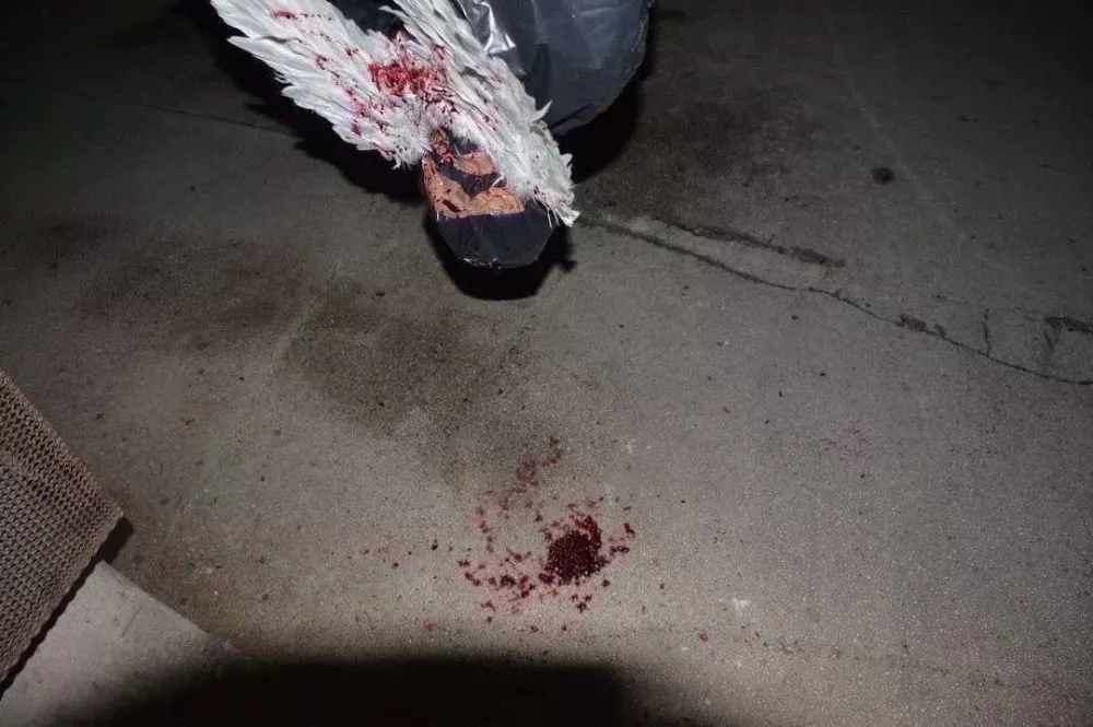 Umetniška intervencija Tivoli, Ulrik, O.S.E.