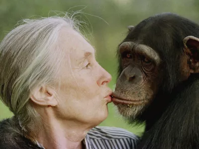 FILE - Jane Goodall kisses Tess, a female chimpanzee, at the Sweetwaters Chimpanzee Sanctuary near Nanyuki, north of Nairobi, on Dec. 6, 1997. (AP Photo/Jean-Marc Bouju, File)
