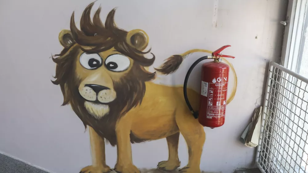 ﻿- 19.07.2019 - Negovalna bolnišnica, bivša pediatrična bolnica - dotrajan objekt - zdravstvo, nega, medicinska sestra, bolnik, pacient //FOTO: Jaka Gasar