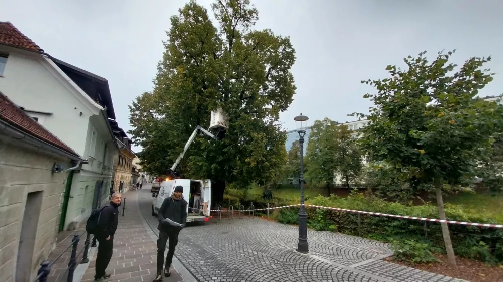 Umetnik Urban Modic je že začel z novoletnim okraševanjem Ljubljane. Foto: Vesna Levičnik