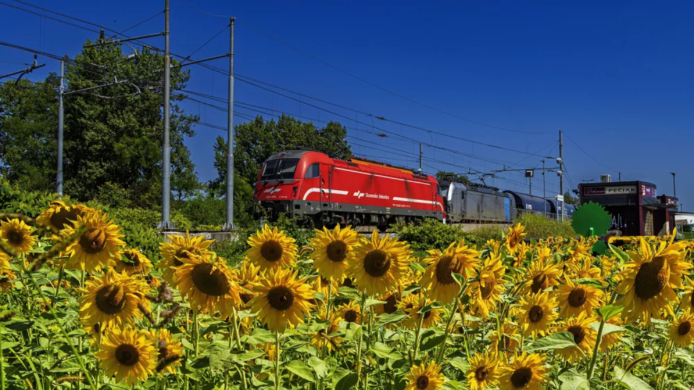 Slovenske železnice z rastjo in z novimi vlaki: več potovanj, manj emisij