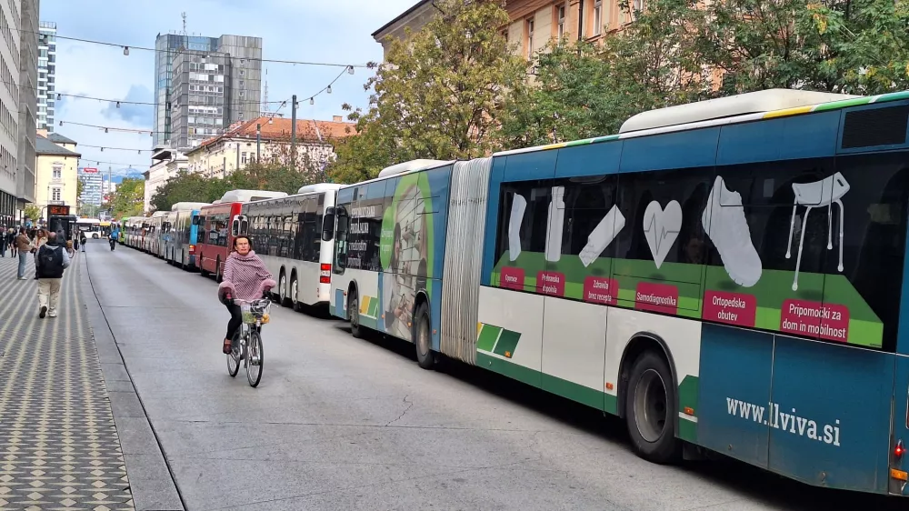 Foto: Bojan Velikonja