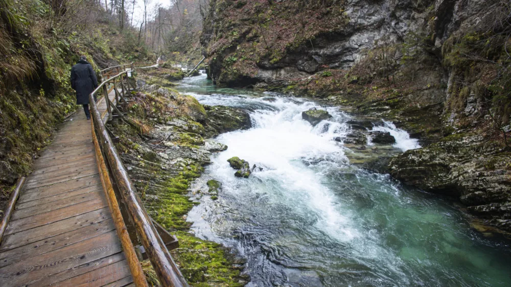 Gorje, soteska Vintgar.Blejski vintgar je 1,6 km dolga soteska na Gorenjskem, skozi katero tece reka Radovna.
