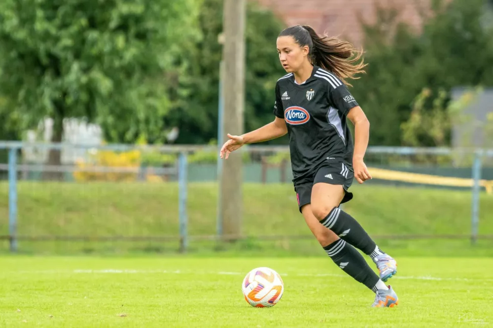 nogometa&scaron;ice mure none