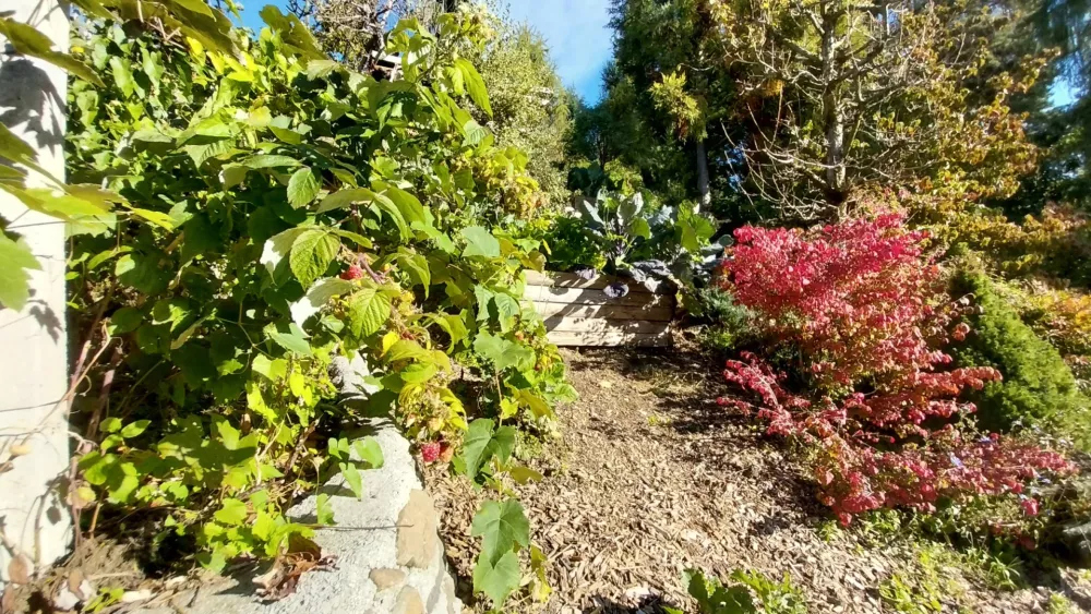 Botanični raj v Posavskem hribovju