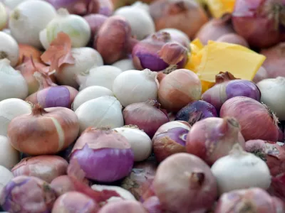19.07.2025., Sibenik - Subotnja ponuda voca i povrca na sibenskoj trznici. Photo: Hrvoje Jelavic/PIXSELL