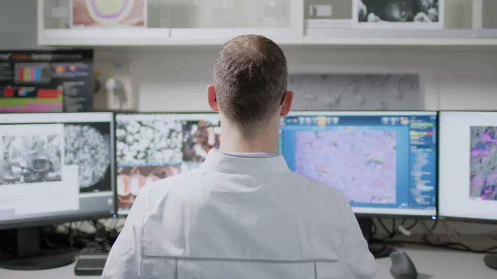 Foto: Arhiv ponudnika