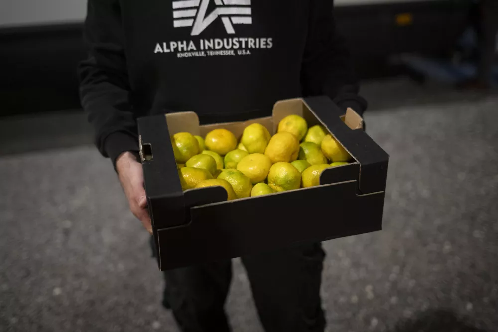 Zvečer se parkirišče na Viču prelevi v pravo malo tržnico. Le kaj prodajajo?