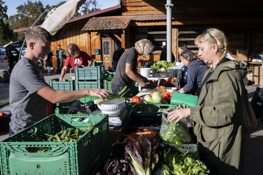Zvečer se parkirišče na Viču prelevi v pravo malo tržnico. Le kaj prodajajo?