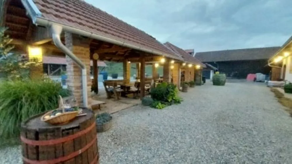 Čeprav je primarna dejavnost vinske kleti Vineda proizvodnja vina so svojo dejavnost na domu razširili z degustacijsko sobo, kjer ponujajo tudi hrano svojih sosedov