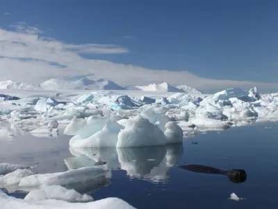 ﻿A seal swims by icebergs off the British Antarctic Survey's Rothera base January 23, 2009. Companies are getting more interested in research into Antarctic life, which has yielded patents helping everything from medicines to ice cream production even though a 47-nation treaty says all science should be made "freely available". To match feature ANTARCTICA-COMPANIES  REUTERS/Alister Doyle (ANTARCTICA) - RTXB9VR