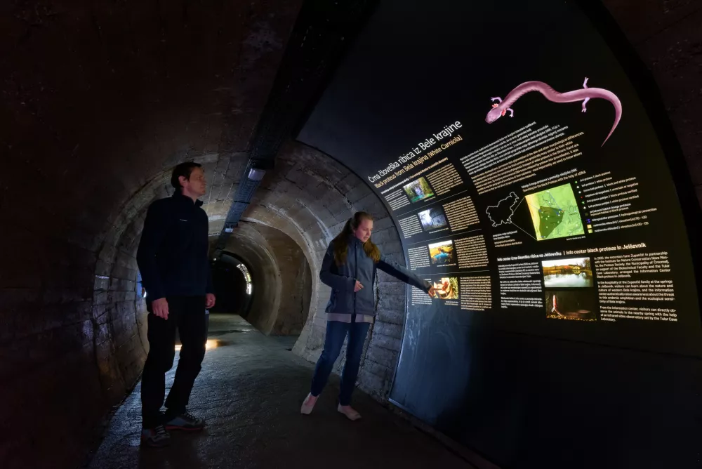 Foto: Arhiv ZTKK/Aleš Komovec