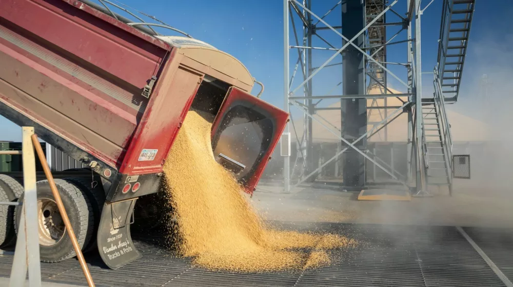 Simbolična fotografija: Profimedia