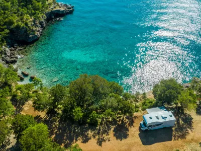 Vi, morje, sonce in - divji prašiči / Foto: Istock