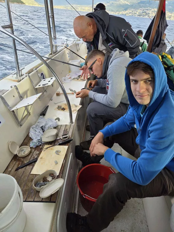  F Arhiv reprezentance