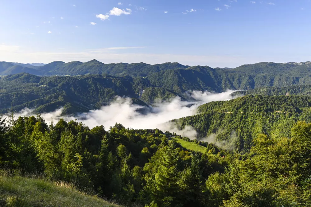 Pogled s Hlevi&scaron;ke planine proti &Scaron;pičastemu vrhu / Foto: Franci Horvat