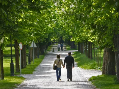 ﻿- simbolična fotografija - ljubljanski mestni Park Tivoli aprila 2014 - zelena pomlad - pomladno cvetenje - pomladni sprehod - sprehajalna pot - sprehajanje - park - zelena listopadna drevesa - listavci - listnata drevesa - drevo - narava - //FOTO: Tomaž Skale